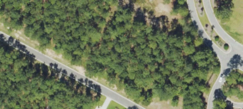 Homesite in RiverSea Plantation