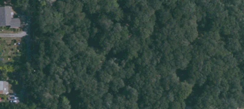 Expansive Residential Land in Forestville
