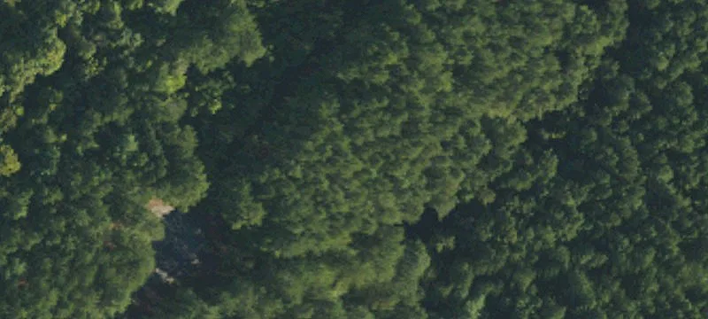 Lake Rhodhiss Waterfront Lot