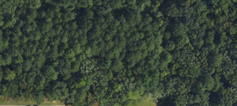 Wooded Lot in Apex Community