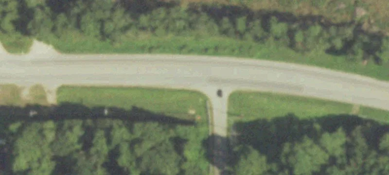 Wooded Tract Near Grand Parkway