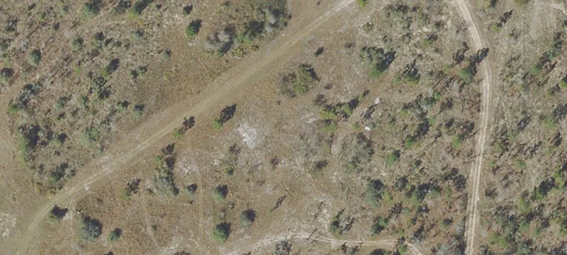 Wooded Lot Near Mossy Pond