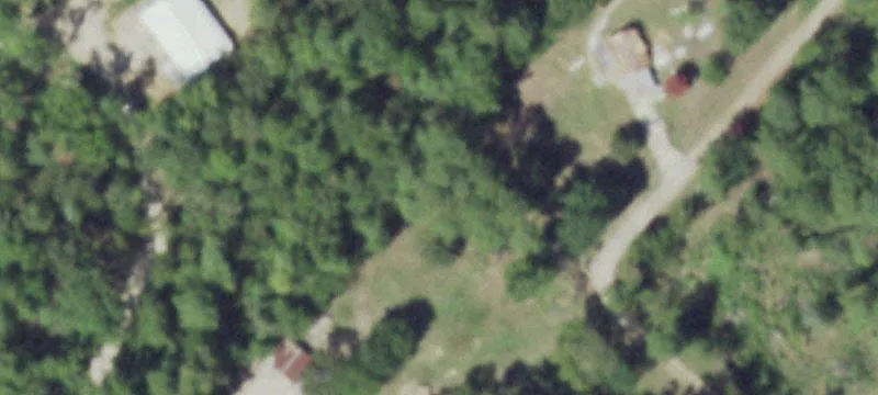 Wooded Lot Near Lake Livingston