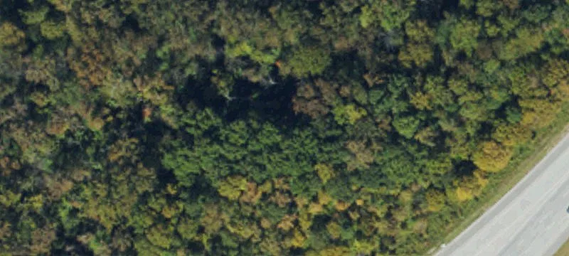 Wooded Lot for Development