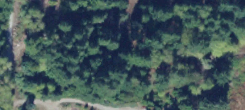 Undeveloped Land with Mountain Views