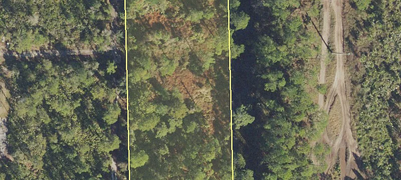 Quarter-Acre Wooded Lot in DeLand