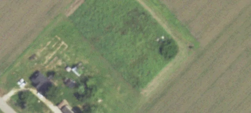 Agricultural Land with Cattle Pasture