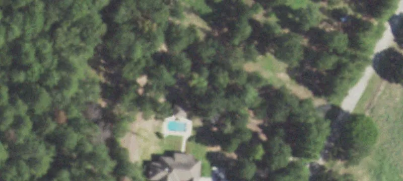 Cleared Land in Wood Creek