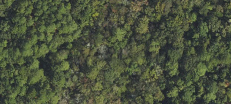 Coastal Homesite with Financing Available