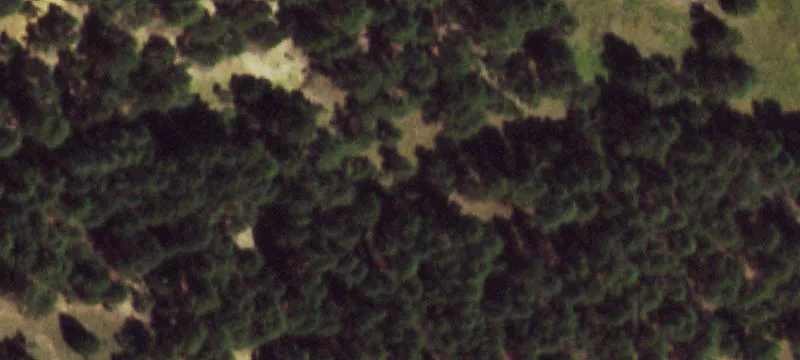 Peyton Pines 5-Acre Lot