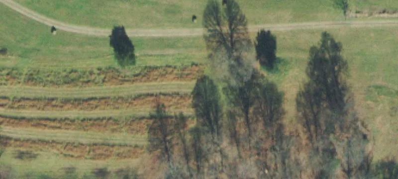 24-Acre Farm in Middle Tennessee
