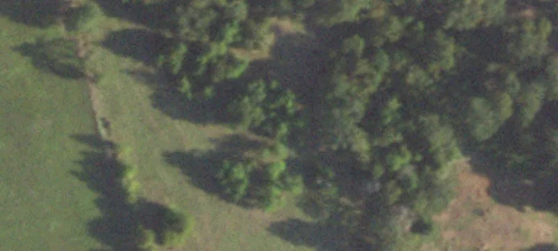 Waller County Country Estate