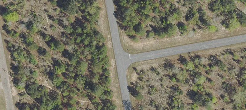 Vacant Lot in Sunny Hills