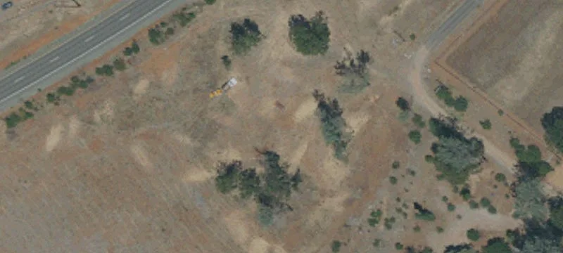 Residential Land with Mature Trees