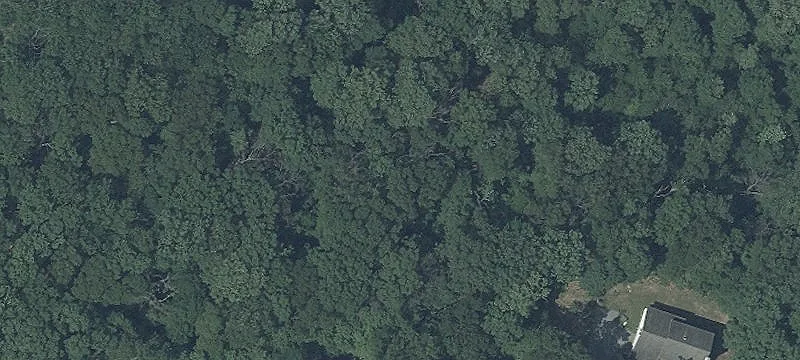 Buildable Lot in Scenic Mt. Airy