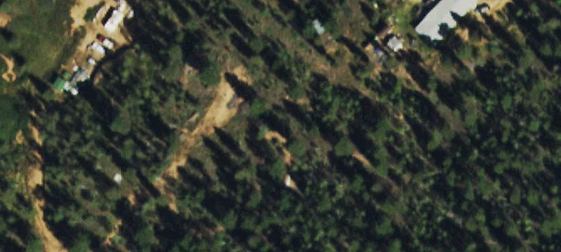 Mountain Property in Divide, Colorado