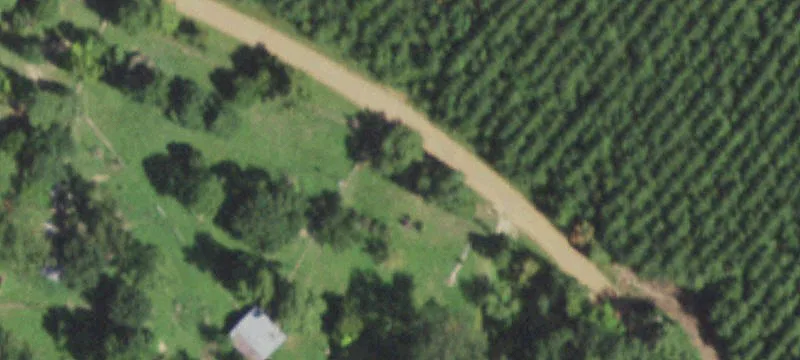 Unrestricted Land Bordering National Forest