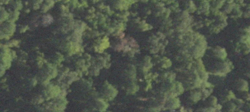 Unrestricted Land in Rural Setting