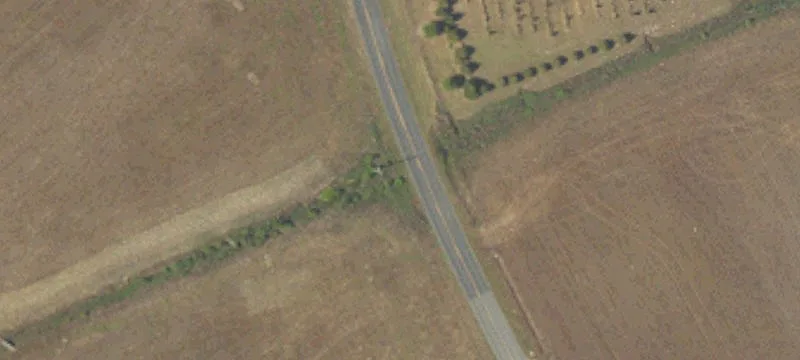 149 Acres Near Holly Hill