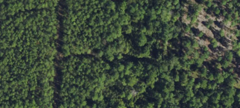 Porters Neck Wooded Parcel