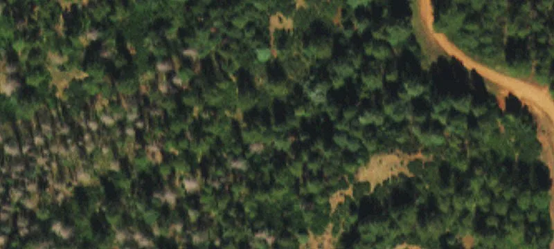 Colorado Land Parcel Opportunity