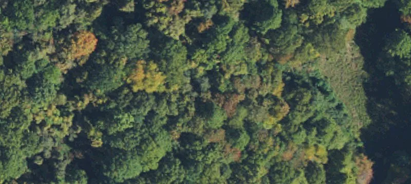 Secluded Acreage Bordering Pisgah Forest