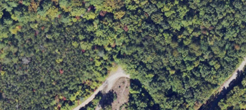 11 Acres Wooded Land Near Blowing Rock