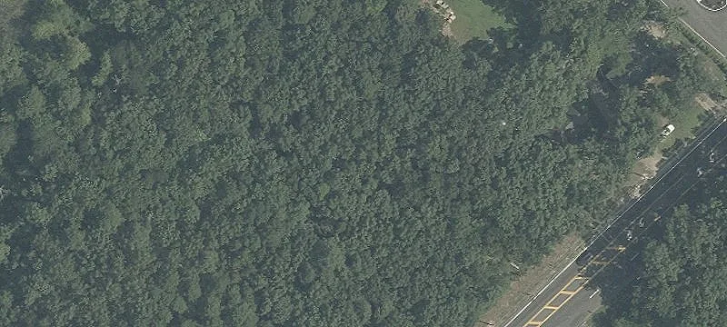 Commercial Land Near I-195