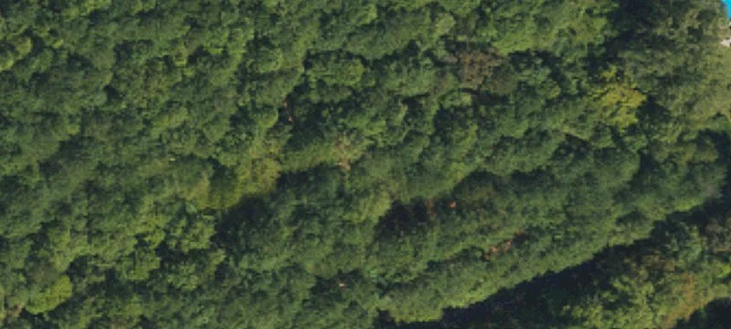 79 Acres Wooded Land Catawba