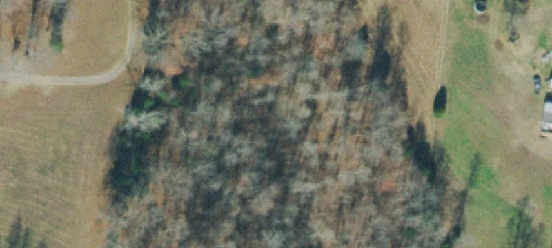Primm Springs Agricultural Land