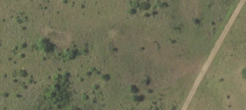 309 Acres of Usable Land