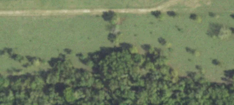 Rosharon Land Near Brazos River