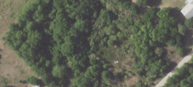 Sealy Acre with Septic System