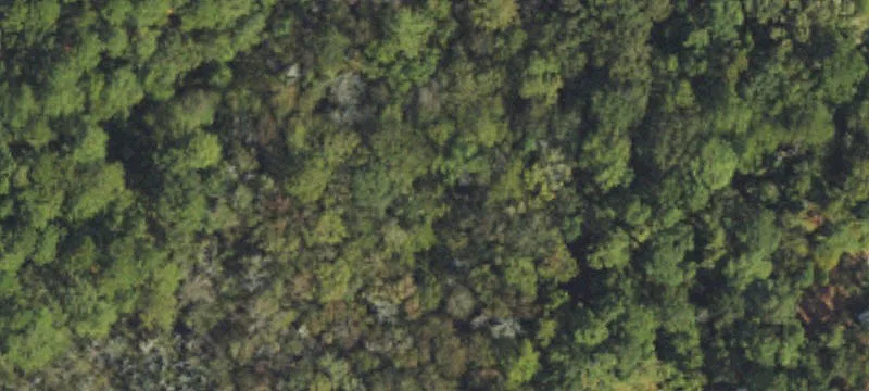 Sassafras Road Land For Sale