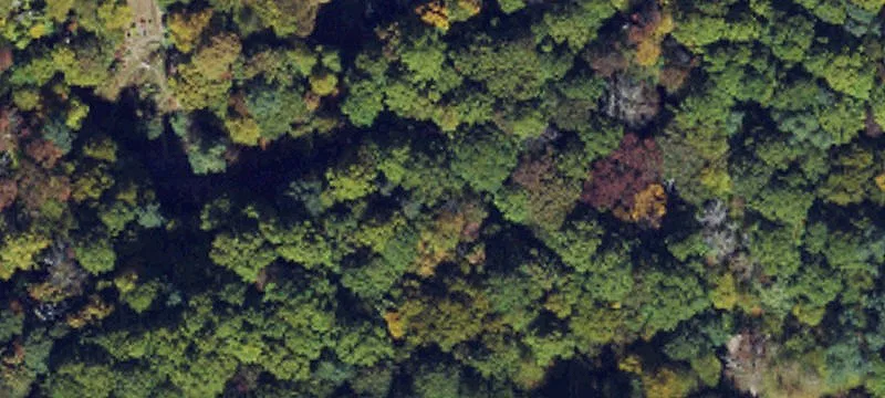 Land Bordering National Park