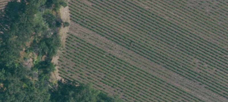 Silverado Trail Vineyard Property