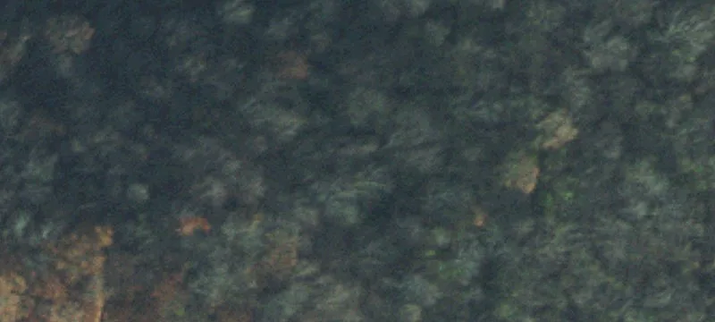 Secluded 40-Acre Nashville Area Property