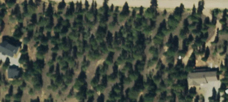 Secluded Land with Historic Cabin