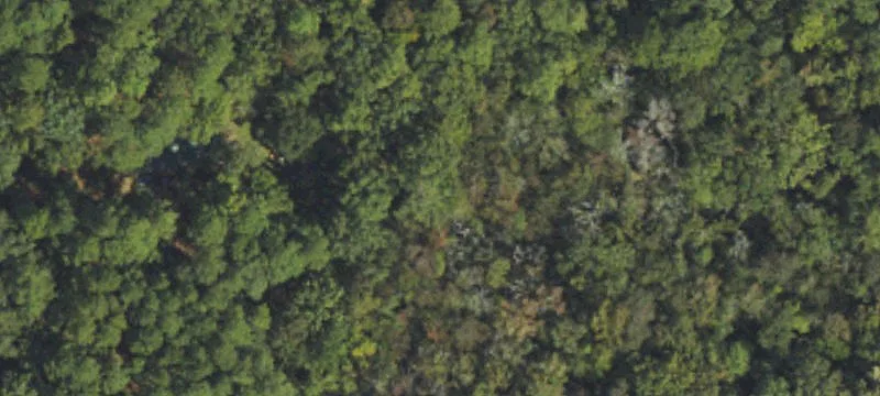 Undeveloped Lot Near Holden Beach