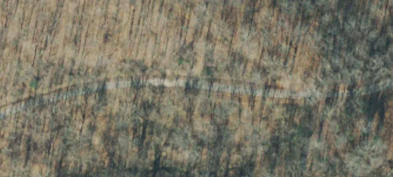 23 Acres of Natural Hardwoods