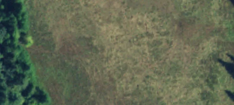 Monroe Acreage with Subdivision Potential