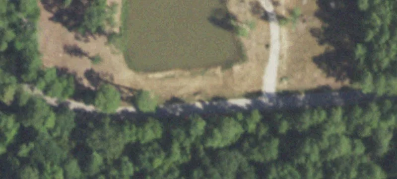 Unrestricted Wooded Acreage in Montgomery, TX