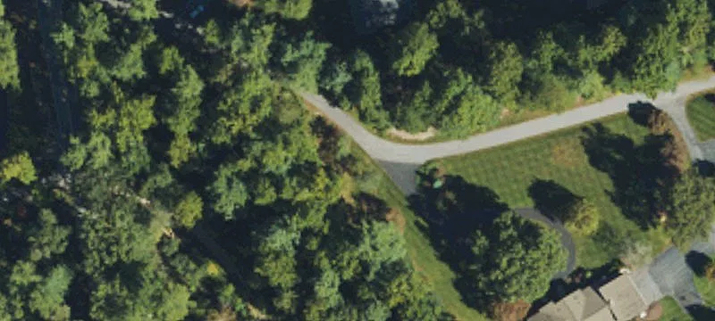 Flat Wooded Lot in Flat Rock