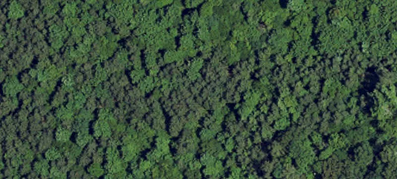 Commercial Land Near I-85
