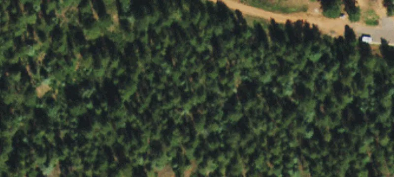 Larkspur Homesite Opportunity
