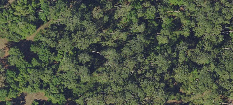 6.63 Acres on State Road