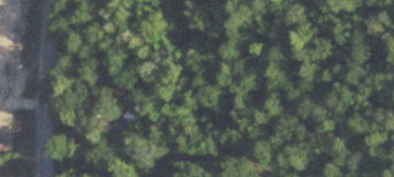 Unrestricted Land in Conroe, Texas