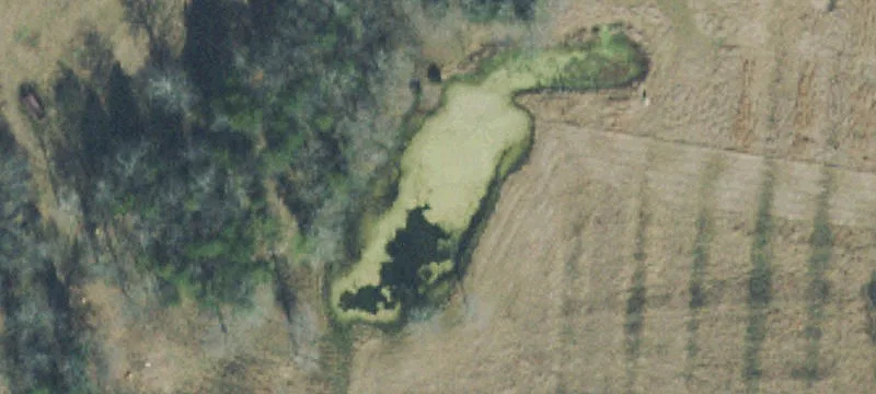 95 Acre Mt. Juliet Land