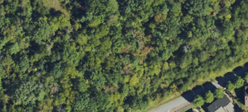 North Asheville Development Opportunity