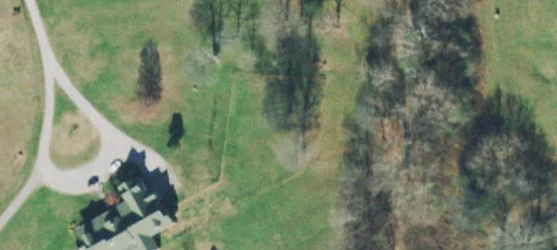 Unique Horse Ranch with Potential